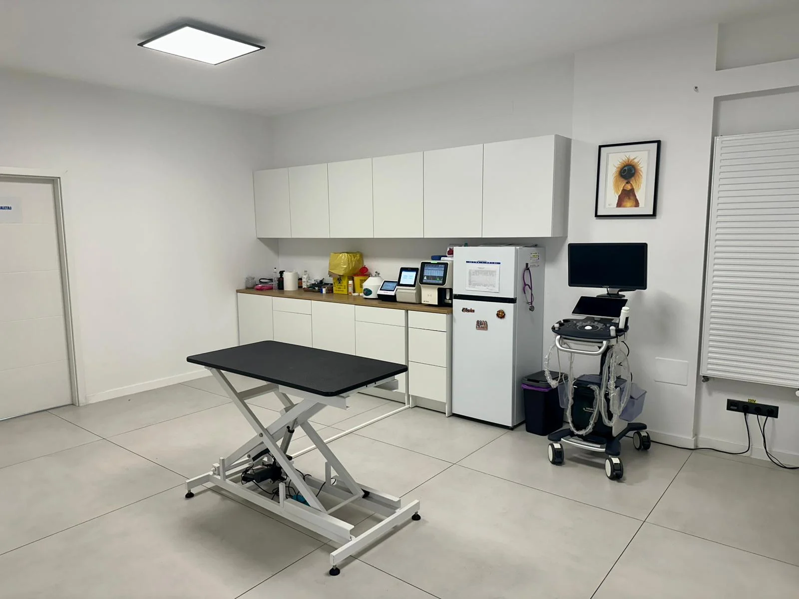 Sala de consultații Vetricare — Cluj-Napoca